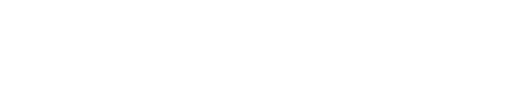 DIGIMAX